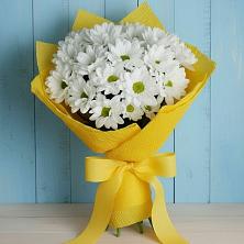 Букет цветов из:  Хризантемы в Челябинске