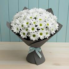 Букет цветов из:  Хризантемы в Челябинске
